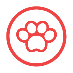 Small Dog World logo. Go to Homepage of Dog World